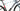 Mondraker Dusty RR 2023 - SRAM Rival AXS 2x12sp - Mavic Allroad