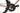 Specialized Tarmac SL8 Expert 2023 - Shimano Ultegra Di2 2x12sp - Roval C38