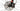 Scott Spark RC Team 2022 - SRAM GX AXS 1x12sp - Carbon