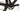 Mondraker Dusty RR 2023 - SRAM Rival AXS 2x12sp - Mavic Allroad