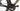 Ridley Noah Fast 2024 - Campagnolo Record EPS - Fulcrum