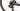 Ridley Noah Fast 2024 - Campagnolo Record EPS - Fulcrum