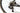 Ridley Noah Fast 2024 - Campagnolo Record EPS - Fulcrum
