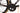 Specialized S-Works Tarmac SL8 2025 - Shimano Dura-Ace Di2 2x12sp - Roval Rapide CLX II