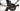 Specialized S-Works Tarmac SL6 2021 - Shimano Ultegra Di2 2x12sp - ENVE SES Air Disc