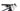 BH Ultimate RC Carbon 2017 - Shimano XT - Aluminium