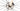 Scott Addict RC 10 2020 - SRAM Force AXS 2x12sp - Carbon