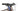 Centurion Backfire E R2700i 2024 - Shimano XT - Procraft Altitude
