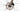 Cannondale Topstone Carbon 1 2025 - SRAM Rival AXS 2x12sp - DT Swiss R470