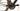 Cannondale Topstone Carbon 3 2023 - Shimano GRX - WTB ST i23 TCS, 700c, 28h, tubeless ready