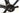 BH SL1 2023 - Shimano 105 Di2 2x12sp - Vision Team 30