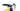 GT Force Carbon Pro 2017 - SRAM NX - Aluminium