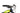 GT Force Carbon Pro 2017 - SRAM NX - Aluminium