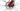 Specialized Crux 2019 - SRAM Red AXS 2x12sp - Aluminium