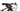 Canyon Lux CF SLX 9 2022 - SRAM GX AXS 1x12sp - DT Swiss XRC 1501