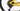 Conor WRC Storm 2021 - SRAM SX - Mavic Crossmax