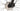 Cannondale Trail 5 2024 - Shimano Deore - WTB SX19