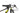 Scott Spark RC 900 World Cup 2020 - Shimano XT - Gurpil Alpha