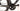 CUBE AGREE C:62 SLT 2021 - Sram Force eTap AXS 2x12sp - Newmen Advanced SL R.38, Carbon