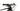 Wilier USMA SL - Shimano SLX - Miche 966 SPR