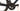 Scott Addict 20 2024 - Shimano Ultegra Di2 2x12sp - Fulcrum Carbon
