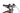 Centurion Lhasa R2700i EQ 2024 - Shimano Cues - Alexrims