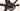 Giant TCR Advanced Pro 0 2022 - SRAM Rival AXS 2x12sp - Giant SLR 1