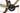 Wilier Rave SLR 2022 - SRAM Rival AXS 2x12sp - Gurpil Infinite