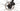 Cannondale Topstone Carbon 2 Lefty 2024 - Shimano GRX 820 1x12sp - WTB KOM Light i23 TCS