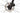Cannondale Topstone Carbon 2 Lefty 2024 - Shimano GRX 820 1x12sp - WTB KOM Light i23 TCS