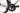 Pinarello Gan Disk 2021 - Shimano Ultegra Di2 2x12sp - Duke Racing Wheels