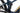 Haibike AllMtn 7 2024 - Shimano SLX - WTB ST i35