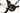 Bianchi Sprint Disc 2024 - Shimano 105 Di2 2x12sp - Velomann V30R