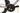 Cube Agree ON1 C:62 2025 - Shimano 105 Di2 2x12sp - FFWD TYRO Carbon