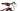 KTM Scarp Master 2025 - SRAM X01 - Progress 29 EVO