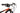 KTM Scarp Master 2025 - SRAM X01 - Progress 29 EVO