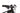 Focus JAM 2 8.9 2025 - Shimano XT - DT Swiss H1900 Hybrid