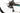 Megamo Raise 10 2021 - Shimano Ultegra - Giant PR-2