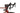 Focus Izalco Max Disc 8.8 2021 - Shimano Ultegra - Carbon