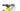 Cannondale Scalpel Carbon 2 X01 2021 - SRAM X01 - HollowGram