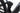 Bulls Iconic Evo TR1 2024 - Shimano Deore - Aluminium