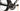 Cervelo R5 2021 - SRAM Red AXS 2x12sp - DT Swiss ARC 1100