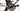 Specialized S-Works Tarmac SL6 AXS 12V 2021 - SRAM Red AXS - Roval Rapide CLX 50