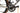 Specialized S-Works Tarmac SL6 AXS 12V 2021 - SRAM Red AXS - Roval Rapide CLX 50