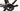 Specialized Aethos 2023 - SRAM Rival AXS 2x12sp - DT Swiss R470
