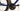 Canyon Ultimate CF SLX 8 2022 - SRAM Force AXS 2x12sp - Spinergy