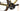 Canyon Grail CF SL 7 2022 - Shimano GRX - DT Swiss Gravel LN
