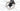 Ridley Falcn RS 2025 - Shimano Dura-Ace Di2 2x12sp - Reynolds AR 29 C