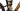 Propain Sresh SL Carbon 2025 - SRAM GX AXS 1x12sp - Newmen Performance 30