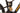 Propain Sresh SL Carbon 2025 - SRAM GX AXS 1x12sp - Newmen Performance 30